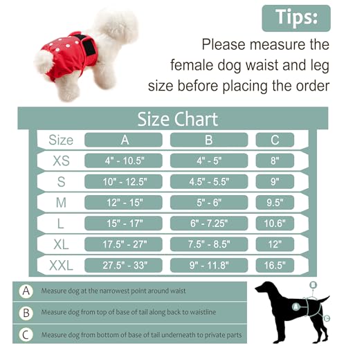 Female Dog Diapers - Reusable Diapers for Doggie in Heat - Highly Absorbent for Pet Incontinence with Adjustable Snaps (Pack of 3) Red, S