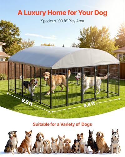 VEVOR Outdoor Dog Kennel, 9.8 x 9.8 x 5.4 ft Large Dog Kennel with Secure Lock, Outside Dogs Enclosures with UV-Resistant & Waterproof Roof Cover, Heavy Duty Pet Crate Cage Run for Large Dogs - size: 118.1"L x 118.1"W x 65.0"H