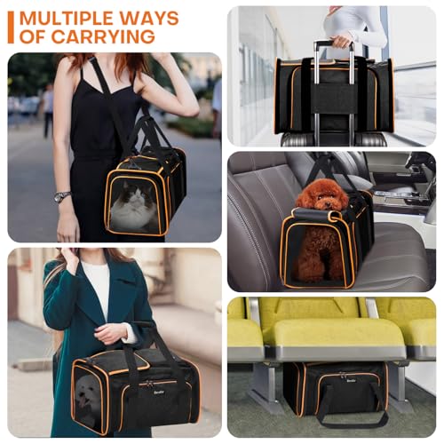 Pet Carrier, Large Soft Sided Expandable Travel Carrier with Steel Frame, Anti-Scratch Mesh, Removable Fleece Pad and Pockets for Cats, Dogs and Small Animals up to 15 lbs (Black, 4 Sides Expandable) - color: Black