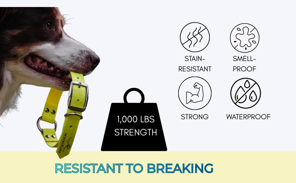 Heavy Duty Waterproof No Smell Dog Collar, Stronger Than Leather, for Active Dogs, Bathing, Dog Parks, Beach, Lake, Trails, Easy on Skin & Fur (Yellow, Large) - color: Yellow, size: Large
