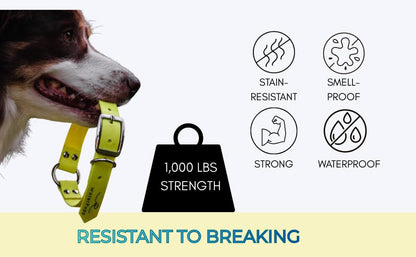 Heavy Duty Waterproof No Smell Dog Collar, Stronger Than Leather, for Active Dogs, Bathing, Dog Parks, Beach, Lake, Trails, Easy on Skin & Fur (Yellow, Large) - color: Yellow, size: Large