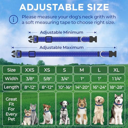 TECEUM Reflective Dog Collar – Navy Blue – S – Extra Soft Padding – Basic Nylon Pet Collar – Quick Release Buckle – Fits Small, Medium and Large Dogs, Puppies, Cats – ESA & Service Dog Options - color: Navy blue, size: Small