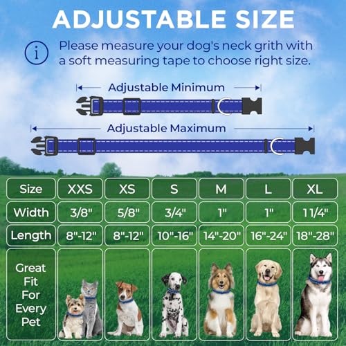 TECEUM Reflective Dog Collar – Navy Blue – M – Extra Soft Padding – Basic Nylon Pet Collar – Quick Release Buckle – Fits Small, Medium and Large Dogs, Puppies, Cats – ESA & Service Dog Options - color: Navy blue, size: Medium