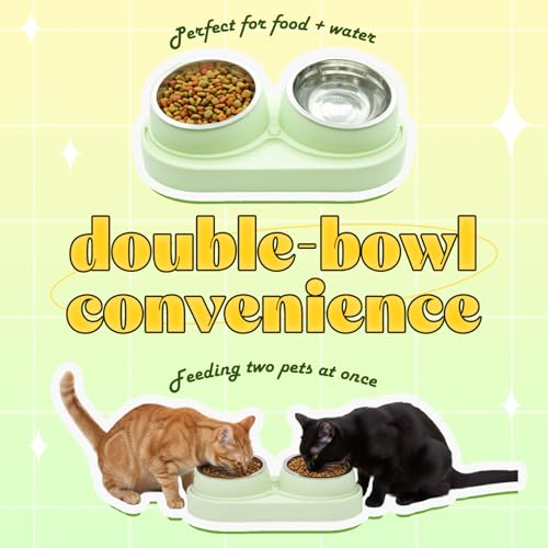 Non-Slip Tilted Double Dog & Cat Bowl with Removable Inserts, Anti-Tip Dual Food and Water Feeder for Small Dogs and Cats, Easy to Clean (Pastel Green) - color: Pastel Green