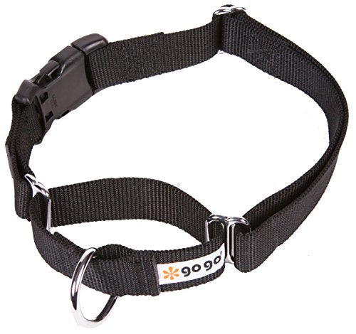 GoGo Pet Products GoGo 3/4-Inch Martingale Dog Collar, Medium, Black - color: Black, size: Medium (3/4" web width)