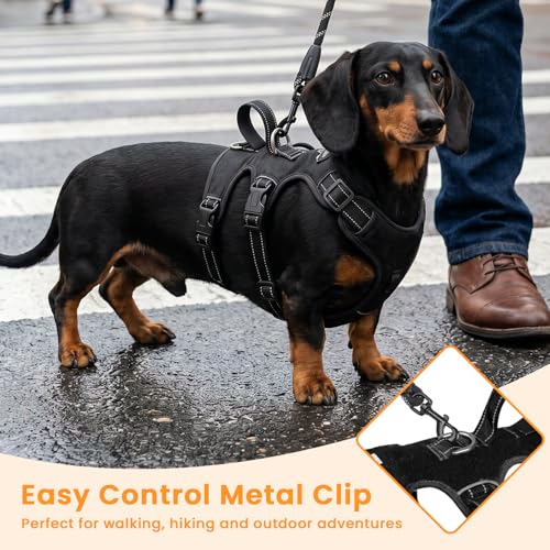 Escape Proof Dog Harness and Leash Set,Soft Padded Full Body Pet Harness, No Pull Reflective Adjustable Dog Vest with Handle, Easy Control Dog Harness for Medium Large Dogs Training Walking Running - color: Black, size: M