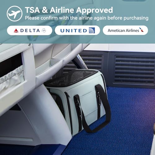 PETSFIT Soft-Sided Cat Carrier with Patented Safety Buckles, Lockable Zippers & Safety Tether,Escape-Resistant Travel Pet Carrier for Car Rides & Vet Visits, Airline Approved Under-Seat, Up to 12 lbs - color: Cyan blue, size: 18.0"L x 11.0"W x 11.0"H