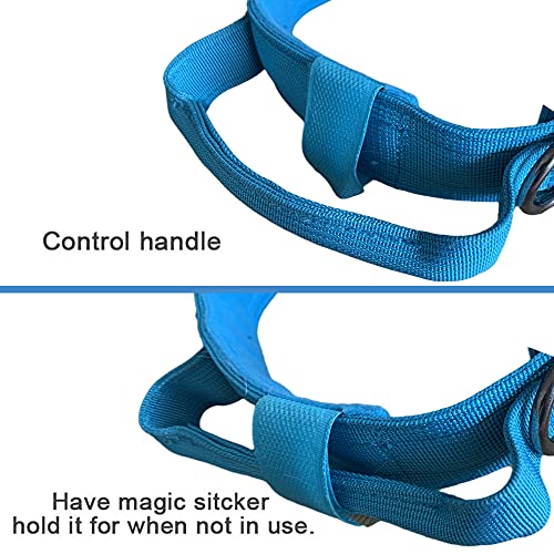 Tactical Dog Collar and Leash Set Adjustable Military Nylon Dog Collar with Control Handle and Heavy Duty Metal Buckle for Large Dogs（Blue S - color: Blue SET(collar+leash), size: Small (Pack of 1)