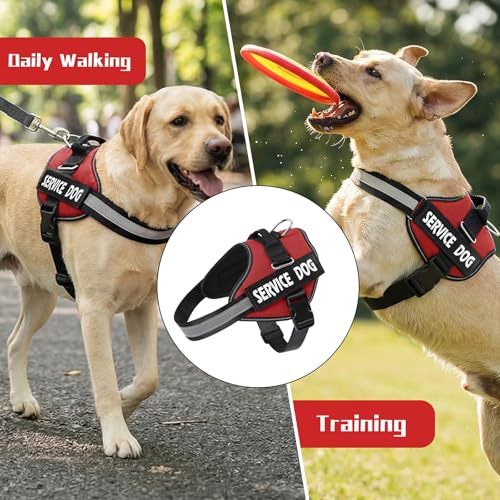 MUMUPET Service Dog Harness, No Pull Reflective Adjustable Vest with Handle, Soft Breathable Padding for Small Dogs, 2 Removable Velcro Patches (Red, S) - color: Red, size: Small