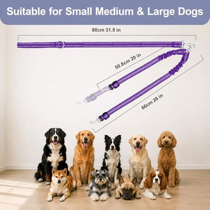 Double Dog Leash for Two Dogs, Complete Set with 31.5" Main Leash + Adjustable Splitter, Padded Handle, D-Ring, 360° Swivel, Shock-Absorbing Bungee, Reflective for Small Medium Large Dogs (Purple) - color: Purple