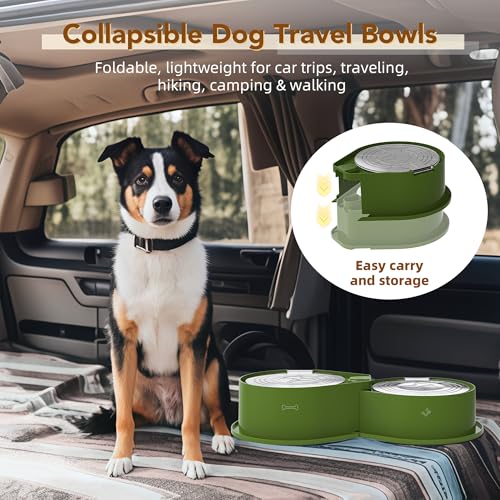 Newget Stainless Steel Dog Bowl Set with Lids, 304 Metal Dual Food & Water Bowls for Dogs & Cats, Large Capacity Pet Feeder with Cover Keeps Food Fresh, Anti-Skid Dog Dish for Small/Medium/Large Pets - color: Green