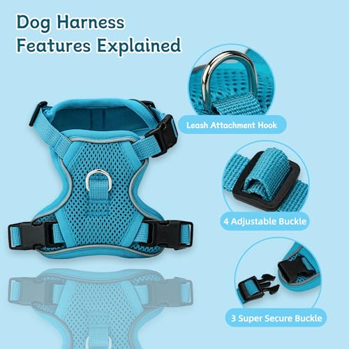 Small Dog Harness and Leash Set, Reflective Soft Breathable Mesh Vest, 3 Buckles, Adjustable Neck and Chest,Step in Dog Harness for Walking, Running, Training, Turquoise, S - color: Turquoise, size: Small