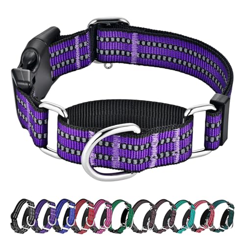 Hikiko Martingale Collar for Dogs Reflective Nylon Dog Collar with Quick Release Buckle Adjustable Training No Slip Dog Collar (X-Small, Purple) - color: Purple, size: X-Small