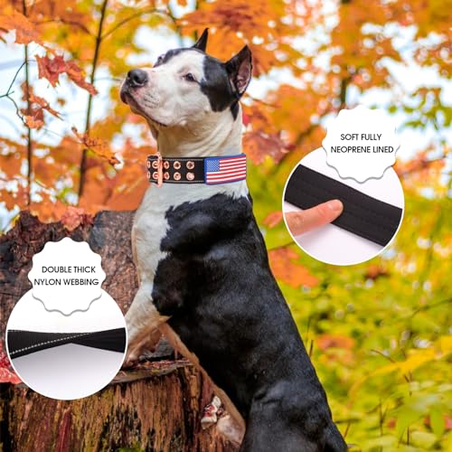 Heavy Duty Tactical Dog Collar with Neoprene Padded and Metal Buckle, Reflective Nylon for Medium to Large Dogs(Black, X-Large) - color: Black, size: X-Large (Pack of 1)