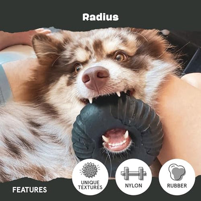 Barkbox Super Chewer Tough Dog Chew Toys for Aggressive Chewers, Dental Stimulating (Radius - Large) - color: Radius - Large, size: Medium/Large