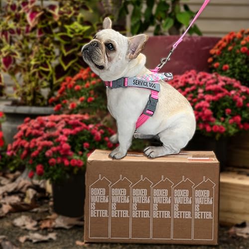 Service Dog Harness and Leash Set, No-Pull Service Dog Vest with 4 PCS Reflective Patches, Dog Vest Harness with Handle, Pet Harness for Small Medium Large Dogs in Training (Pink, S) - color: Pink (Leash + Harness + 4 Patches), size: Small (Chest: 19-25")