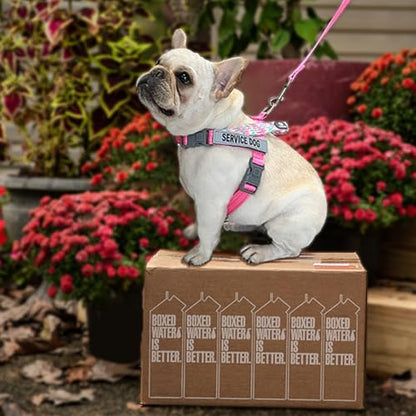 Service Dog Harness and Leash Set, No-Pull Service Dog Vest with 4 PCS Reflective Patches, Dog Vest Harness with Handle, Pet Harness for Small Medium Large Dogs in Training (Pink, M) - color: Pink (Leash + Harness + 4 Patches), size: Medium (Chest: 22-29"