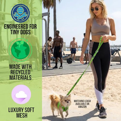 EcoBark Teacup Dog Harness - Luxury Soft Step in Dog Harness - Teacup Harnesses for Puppy & Tiny Dogs- Reflective Mini Body Halter Vest Under 5 lbs (Green, XXXS) - color: Green, size: XXXS- 2 to 3 lbs- Chest up to 10 in (Pack of 1)
