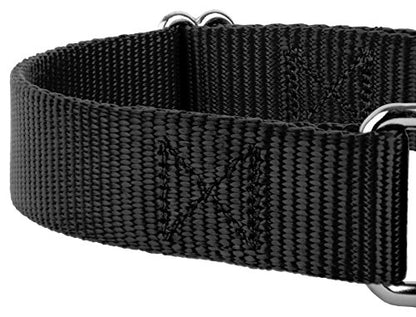 Country Brook Petz - Black Martingale Heavyduty Nylon Dog Collar and Double Handle Leash (3/4 Inch, Small) - color: Black, size: Small (Pack of 1)