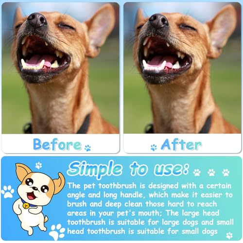 Honeydak Dog Toothbrush Bulk Dual Headed Dental Brushes Dogs Tooth Brushing Kit Long Handle Pet Tooth Brush for Puppy Large Small Cats and Most Pets Teeth Cleaning Dental Supplies(70 Pcs,Black) - color: Black