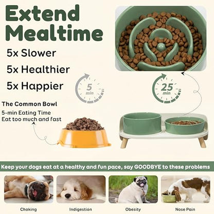 Elevated Slow Feeder Dog Bowls - Ceramic Food and Water Bowl Set with Stand - Raised Pet Dishes for Small and Medium Sized Dogs - color: Green