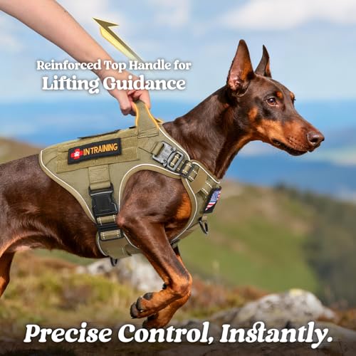 rabbitgoo Tactical Dog Harness Medium Sized, No Pull Upgraded Reflective Heavy Duty Molle Vest with Handle, Adjustable Military Service Dog Vest for Walking Hiking Training, Brown, M - color: Brown Reflective, size: Medium