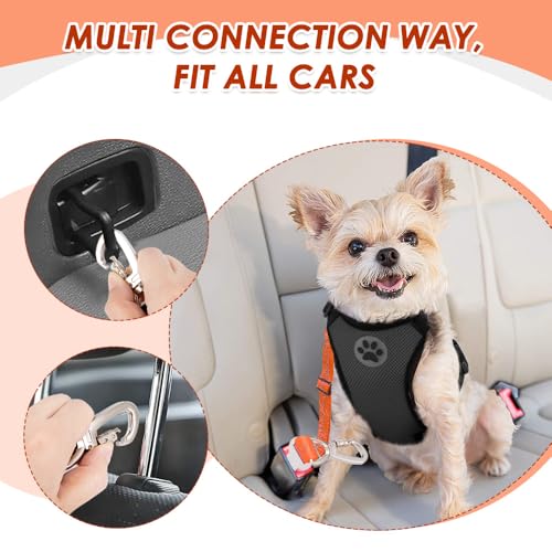 SlowTon Dog Seatbelt, 2 Pack Dog Seat Belt Car Leash Adjustable Elastic Bungee Buffer Heavy Duty Nylon Reflective Pet Safety Tether Connect to Dog Harness for Travel Riding in Vehicle (Daul Clip, OR) - color: Orange