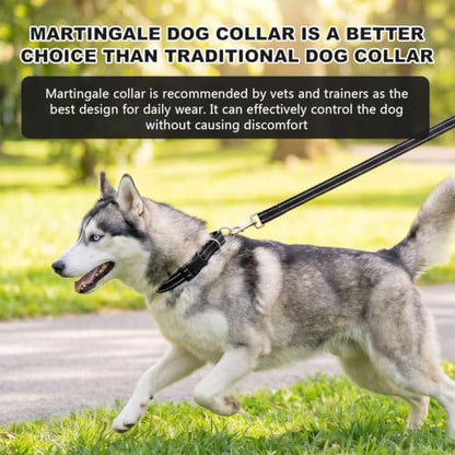 Hikiko Martingale Collar for Dogs Reflective Nylon Dog Collar with Quick Release Buckle Adjustable Training No Slip Dog Collar (X-Large, Black) - color: Black, size: X-Large