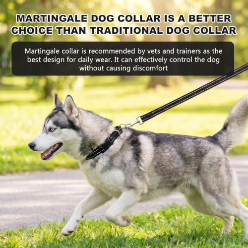 Hikiko Martingale Collar for Dogs Reflective Nylon Dog Collar with Quick Release Buckle Adjustable Training No Slip Dog Collar (Small, Black) - color: Black, size: Small
