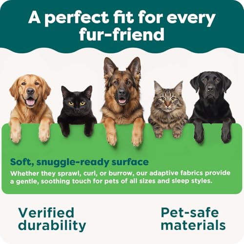 Furhaven Replacement Dog Bed Cover Faux Fur & Velvet Sofa-Style, Machine Washable - Dark Sage, Medium - color: (Faux Fur & Velvet) Dark Sage, size: Medium