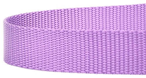 Country Brook Petz - Vibrant 17 Color Selection - Heavyduty Doublehandle Nylon Leash (6 Foot, 3/4 Inch Wide, Lavender) - color: Lavender