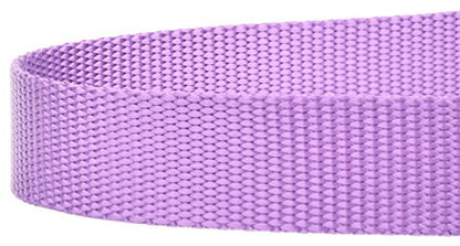 Country Brook Petz - Vibrant 17 Color Selection - Heavyduty Doublehandle Nylon Leash (6 Foot, 3/4 Inch Wide, Lavender) - color: Lavender