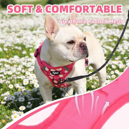 PUPTECK Dog Harness Small Sized Dog, Step in Adjustable Reflective Dog Vest Harness Escape Proof, No Pull Soft Padded Harness Easy Control, Fuschia, S - color: Fuschia(Daisy), size: S (CHEST: 13"-18")