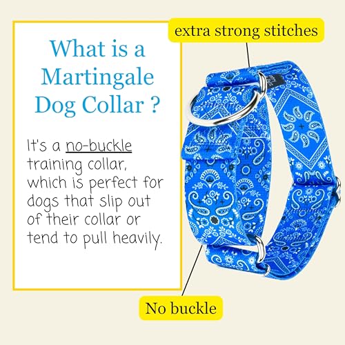 Country Brook Petz - HossFit Jr Wide Martingale Dog Collar - Country and Western Collection Featuring Rustic Designs (Blue Bandana, Large) - color: Blue Bandana, size: Large (Pack of 1)