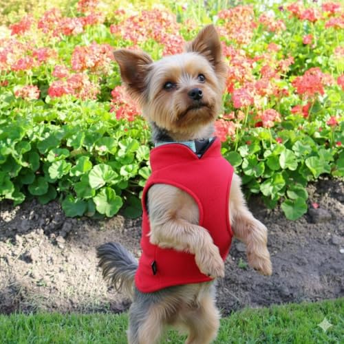 JACKO & CO - Fleece Vest Dog Sweater with Leash Ring - Soft, Warm & Lightweight Pullover Coat for Small & Medium Dogs, Puppies & Cats - Cozy Fall/Winter/Spring Pet Jacket (Red, X-Small 2-4lbs) - color: Red, size: XS (2-4lbs)