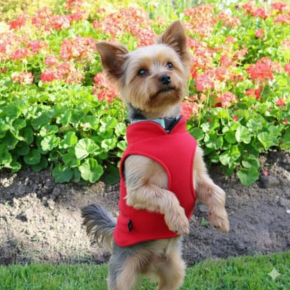 JACKO & CO - Fleece Vest Dog Sweater with Leash Ring - Soft, Warm & Lightweight Pullover Coat for Small & Medium Dogs, Puppies & Cats - Cozy Fall/Winter/Spring Pet Jacket (Red, X-Small 2-4lbs) - color: Red, size: XS (2-4lbs)