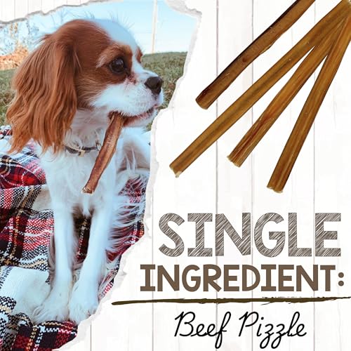 Nature Gnaws Extra Thin Bully Sticks for Small Dogs 5-6" (10 Count) - Long Lasting for Light Chewers and Puppies - Natural Beef Dog Chew Bones - size: 10 Count (Pack of 1)