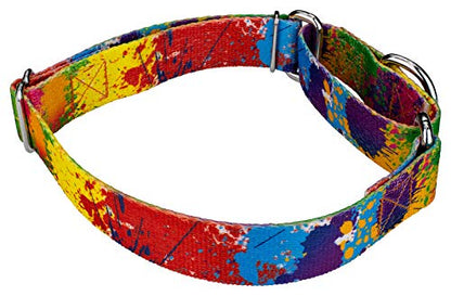 Country Brook Petz - Paint Splatter Martingale Dog Collar - Groovy Collection Featuring Far Out Designs (1/2 Inch, Extra Small) - color: Paint Splatter, size: Extra Small (Pack of 1)