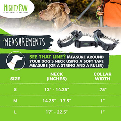 Mighty Paw Martingale Dog Collar 2.0 | Trainer Approved Limited Slip Collar with Stainless Steel Chain & Heavy Duty Buckle - Modified Cinch Collar for Gentle & Effective Pet Training - Medium, Grey - color: Grey, size: Medium