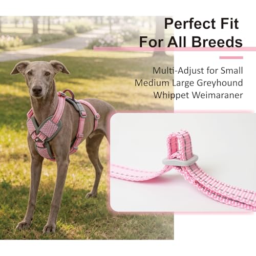 ThinkPet Flexfit 3-Strap Escape Proof Dog Harness, No Pull Front Clip 2-in-1 Vest with Control Handle, 360° Reflective Breathable Adjustable Harness for Greyhound Whippet Vizsla, Large, Pink - color: Pink, size: Large