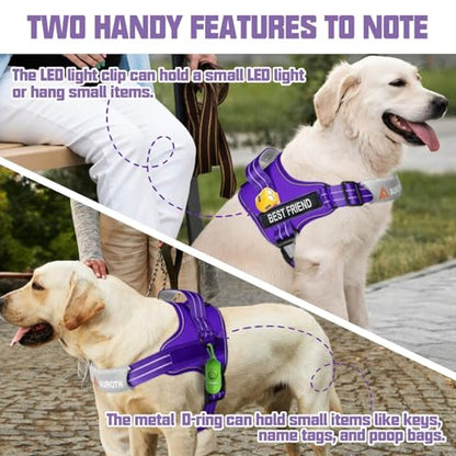 AUROTH Dog Harness and Leash Set, Soft Padded Service Dog Vest with 5.25FT Dog Leash, No Choke, Easy On Pet Vest, Adjustable Reflective No Pull Dog Harness for Large Dogs, Easy Walking and Training - color: Purple, size: Large
