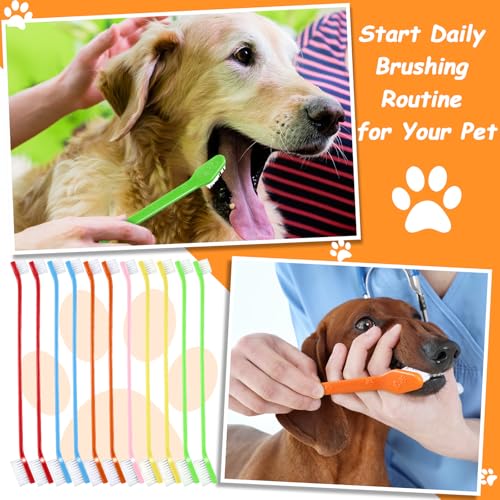 Honeydak Dog Toothbrush Bulk Dual Headed Dental Brushes Dogs Tooth Brushing Kit Long Handle Pet Tooth Brush for Puppy Large Small Cats and Most Pets Teeth Cleaning Dental Supplies(70 Pcs,Multicolor) - color: Multicolor