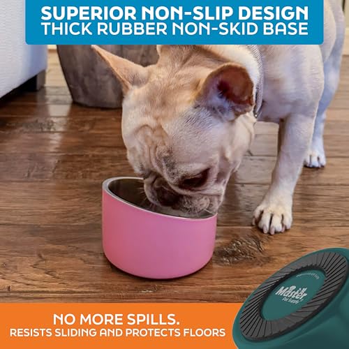 Master Pet Supply Stainless Steel Slanted Dog Cat Food Bowl - 8 oz Heavy Duty - Emerald Sea, Double Wall Insulated, Non-Slip Elevated Bowl for French Bulldogs Pugs Cats, Anti Rust Dishwasher Safe - color: Emerald Sea, size: 1 Cup (8 oz)