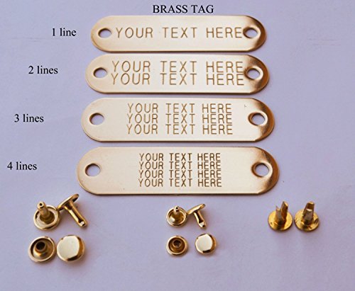WARNER BRAND BRASS (GOLD) TAG FOR DOG COLLARS WITH 3-SETS OF RIVETS PET ID TAG PLATE, ID TAG