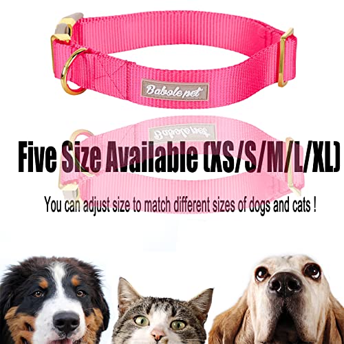 Nylon Dog Collar - Adjustable Rose Red Soft Webbing Dog Collars for Small Medium Large Dogs Boy Girl Puppy Collar with Safety Metal Buckle XS - color: Nylon-Rose Red, size: XS