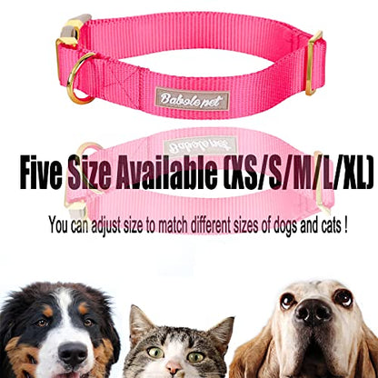 Nylon Dog Collar - Adjustable Rose Red Soft Webbing Dog Collars for Small Medium Large Dogs Boy Girl Puppy Collar with Safety Metal Buckle XS - color: Nylon-Rose Red, size: XS
