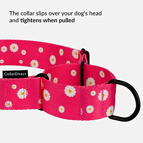 CollarDirect Martingale Dog Collar Heavy Duty Nylon Slip Collars for Small Medium Large Dogs [Nylon, Patterned, Pink, XL, 19"-24"] - color: Pink, size: X-Large (Neck Size 19"-24")