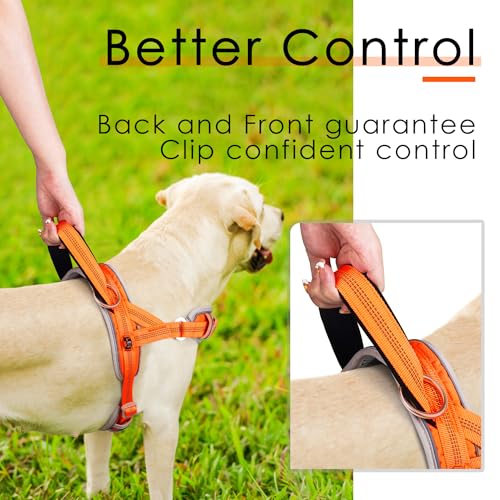 ADVENTUREMORE Dog Harness for Medium Dogs No Pull, Sport Dog Halter Harness Adjustable Reflective Dog Vest Escape Proof Dog Harness with Easy Control Front Clip Handle for Training Walking M Orange