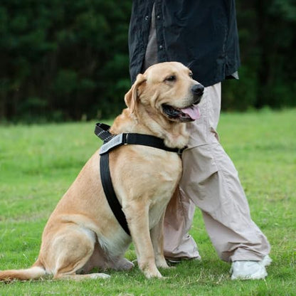 Service Dog Harness and Leash Set, No-Pull Service Dog Vest with 4 PCS Reflective Patches, Dog Vest Harness with Handle, Pet Harness for Small Medium Large Dogs in Training (Black, S) - color: Black (Leash + Harness + 4 Patches), size: Small (Chest: 19-25