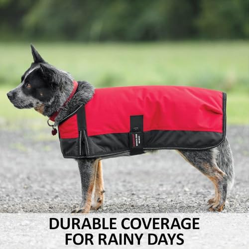 Schneiders Waterproof Reflective Dog Coat II | 600D Polyester Waterproof | Reflective Threading | Soft Nylon Lining | Closed Front and Bellyband Closure | Color Royal | Size Small/Medium - color: Royal, size: Small/Medium